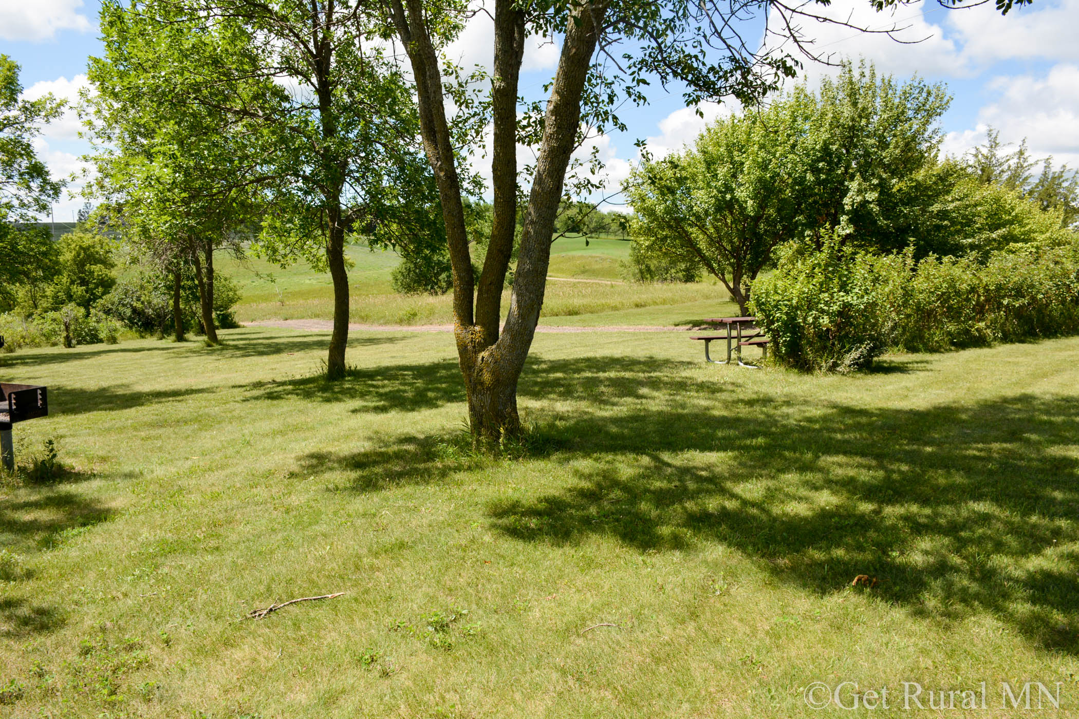 Trees and picnic area