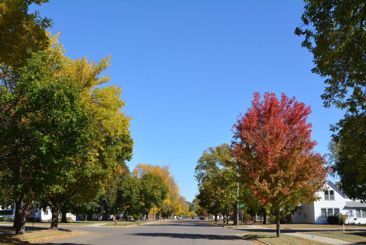 Contact City of Canby